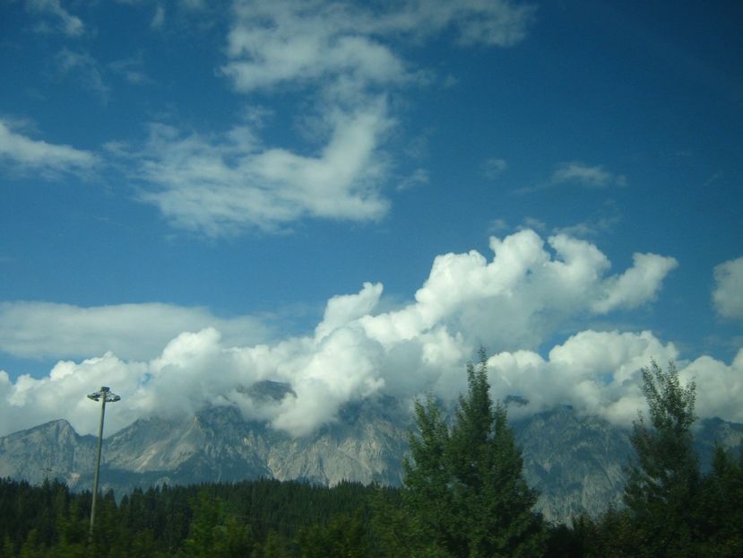 Picture 13759 - Barcelona Alex-John 2