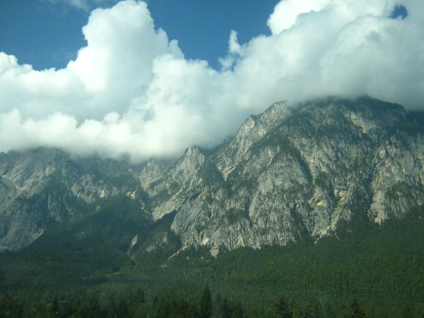 Picture 13768 - Barcelona Alex-John 2