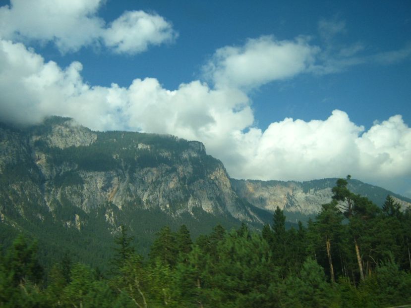 Picture 13770 - Barcelona Alex-John 2