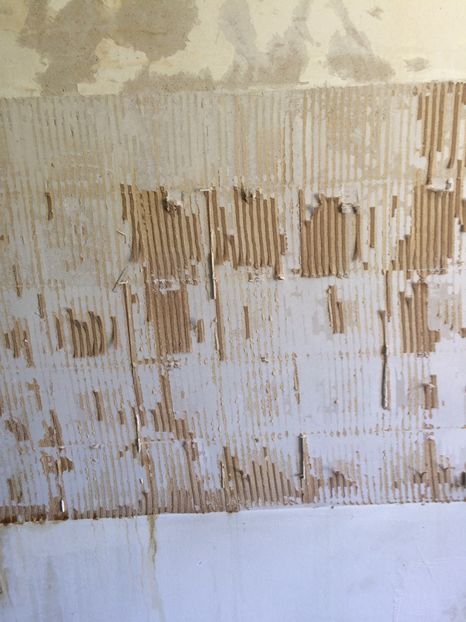 25.04.2020 - Bucătăria