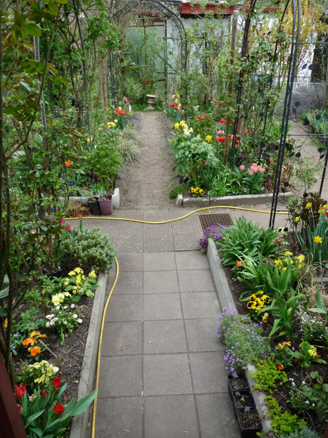  - 2020 - 01 - Primavara