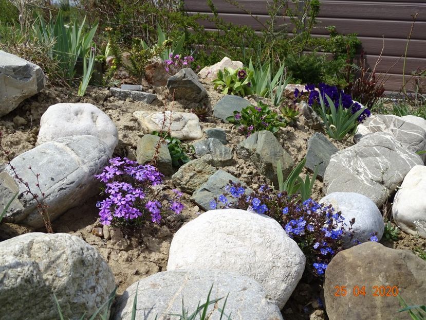  - Stancarie 2020 - inceputuri