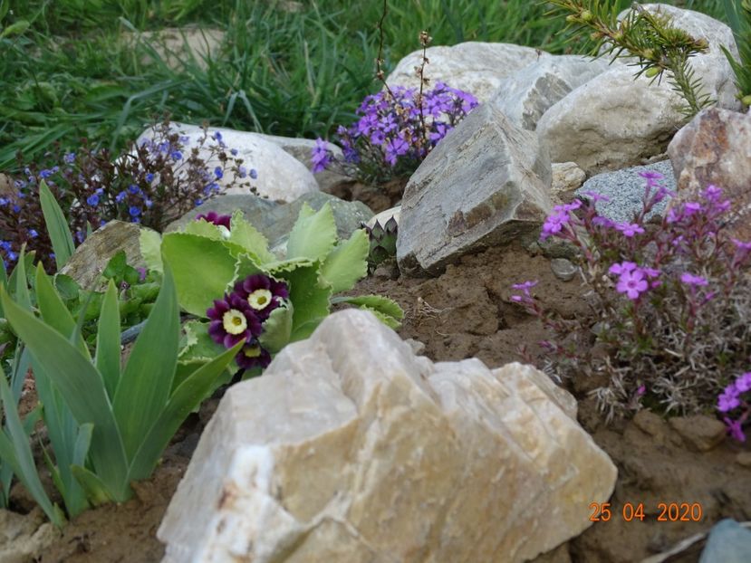  - Stancarie 2020 - inceputuri