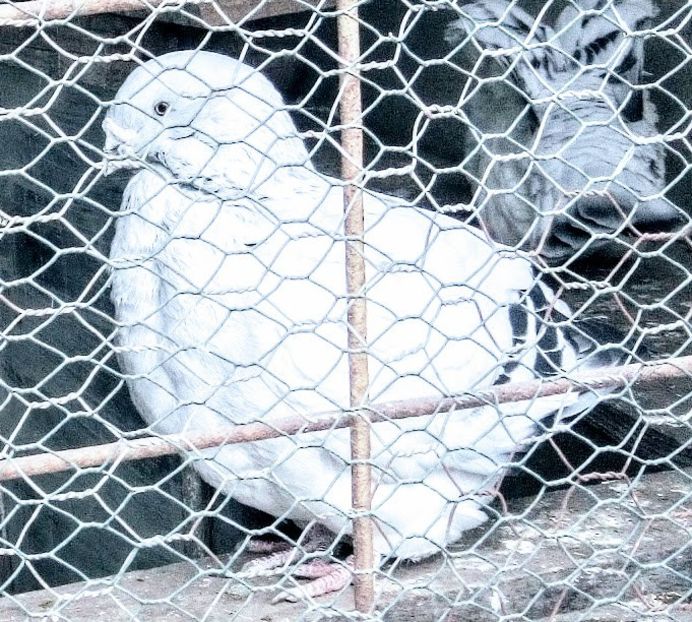  - - A - A - A - A- W A R N I N G !