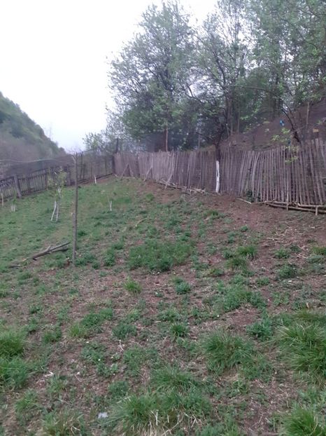  - În carantină muncind