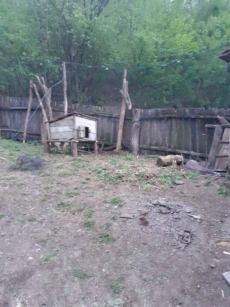  - În carantină muncind