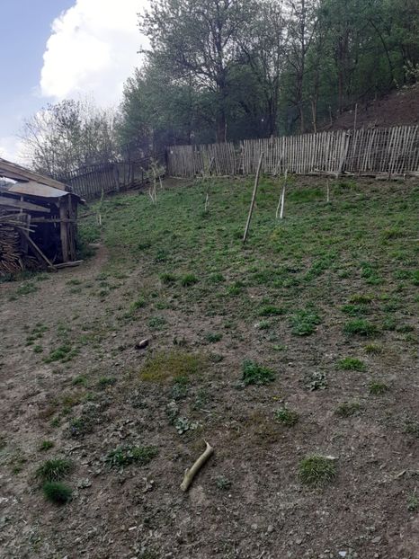  - În carantină muncind