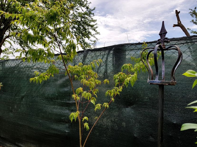 Wabito - 2020 Mart-Apr_Idilic garden