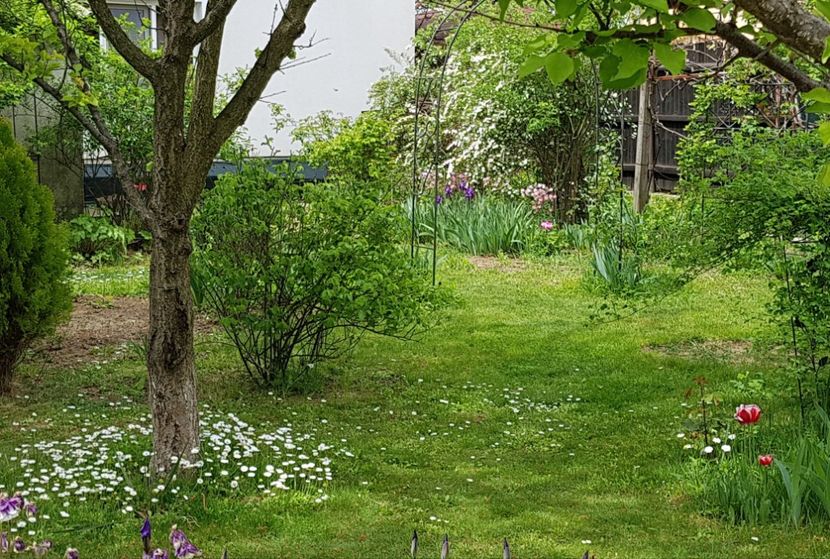  - 2020 Mart-Apr_Idilic garden