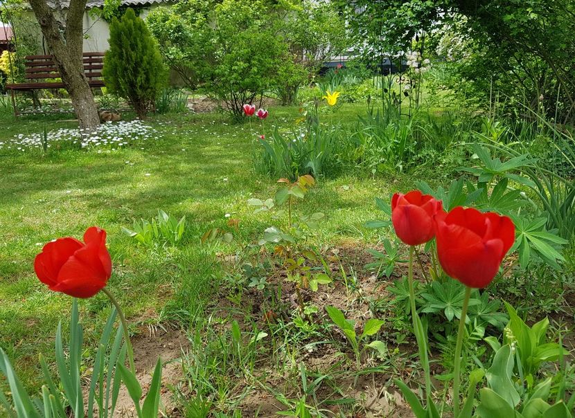  - 2020 Mart-Apr_Idilic garden