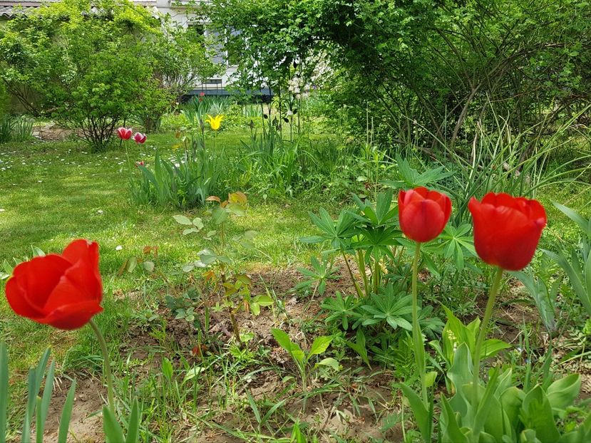  - 2020 Mart-Apr_Idilic garden