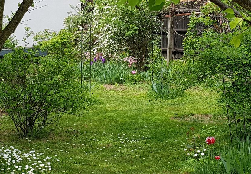  - 2020 Mart-Apr_Idilic garden