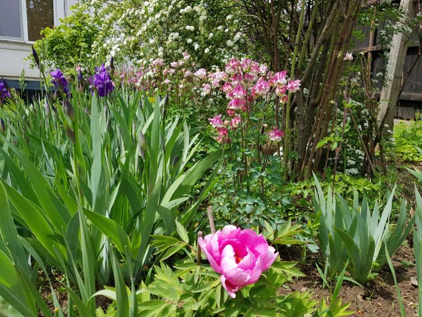  - 2020 Mart-Apr_Idilic garden