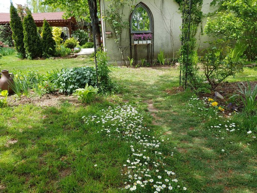  - 2020 Mart-Apr_Idilic garden