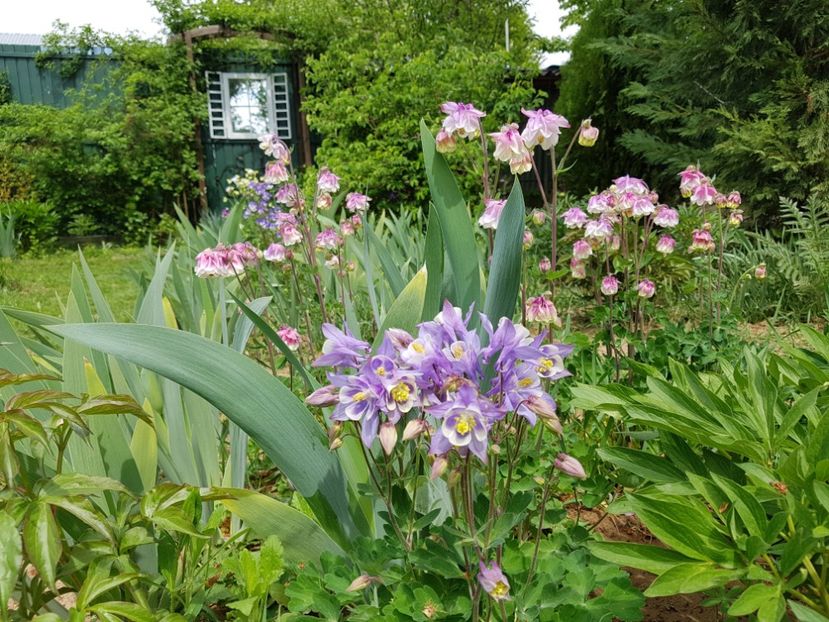  - 2020 Mart-Apr_Idilic garden