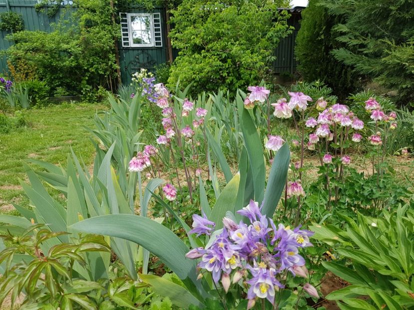  - 2020 Mart-Apr_Idilic garden