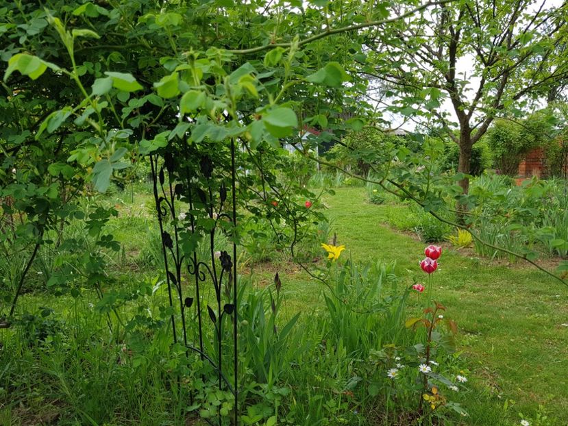  - 2020 Mart-Apr_Idilic garden