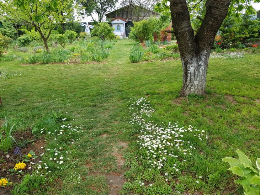  - 2020 Mart-Apr_Idilic garden