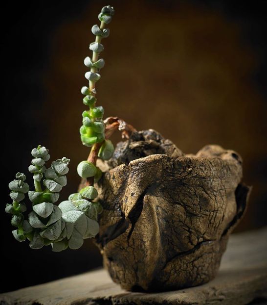 Marc Follon - Vase - aranjamente - accesorii