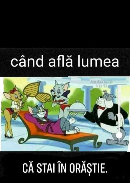 50692619_420792598665592_2063437984195149824_o - Bancuri cu Ardeleni