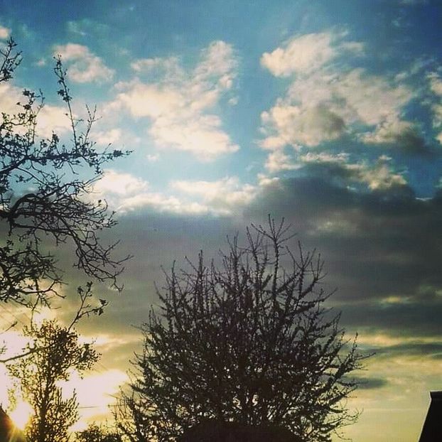  - - O - Fotografii x