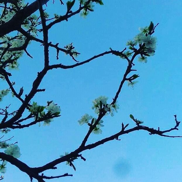  - - O - Fotografii x