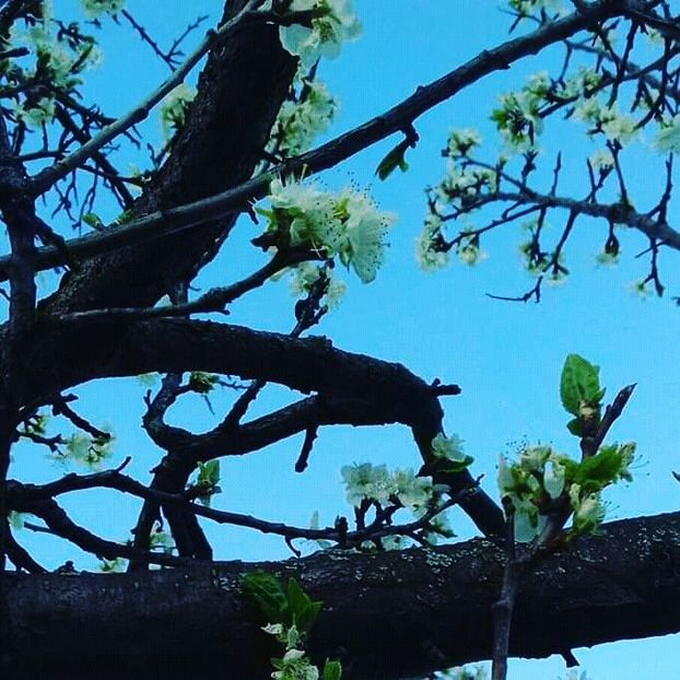  - - O - Fotografii x