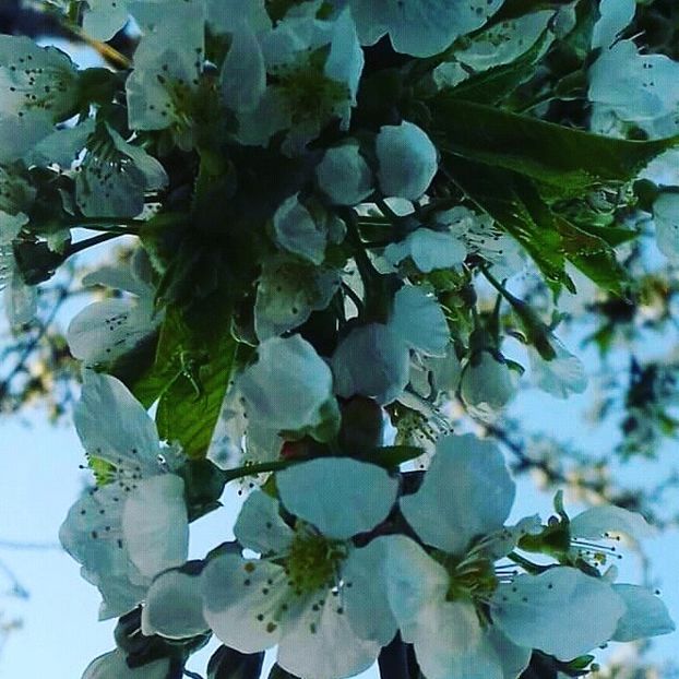  - - O - Fotografii x