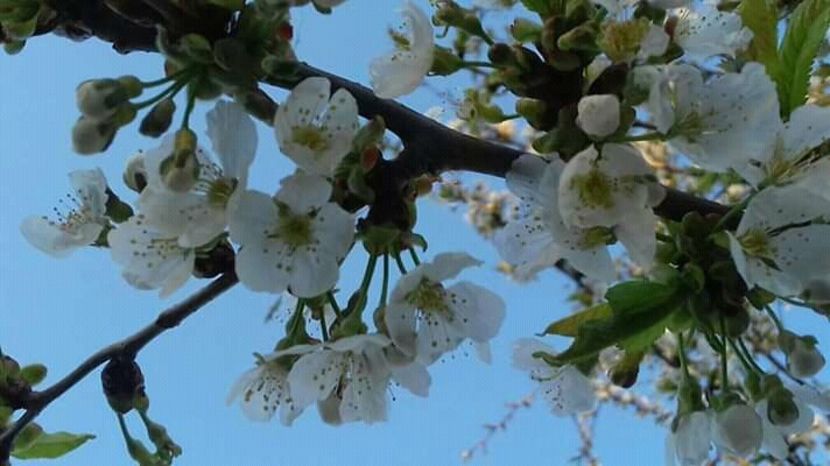  - - O - Fotografii x