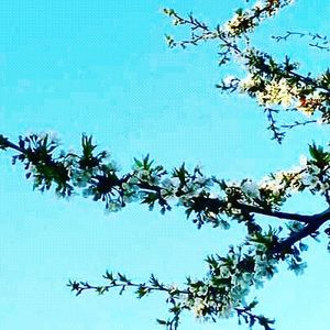  - - O - Fotografii x