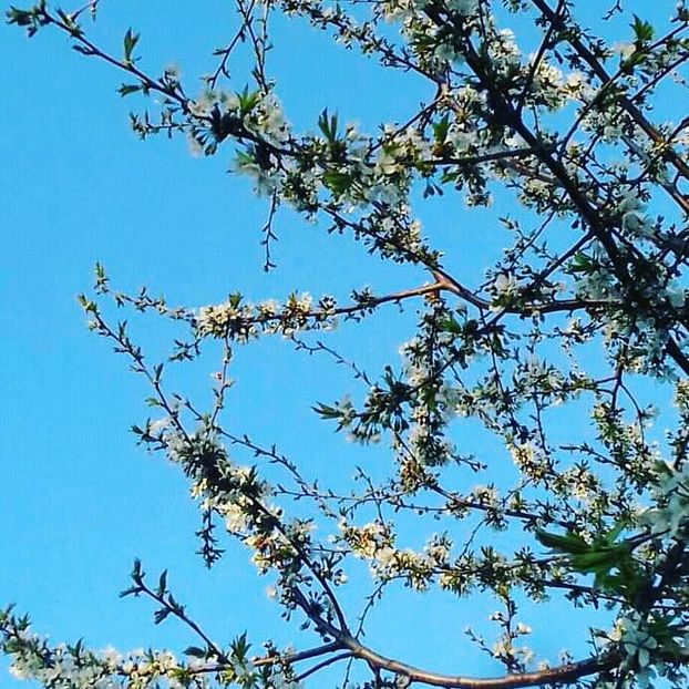  - - O - Fotografii x