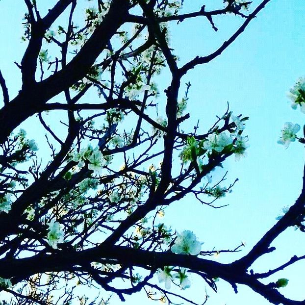  - - O - Fotografii x