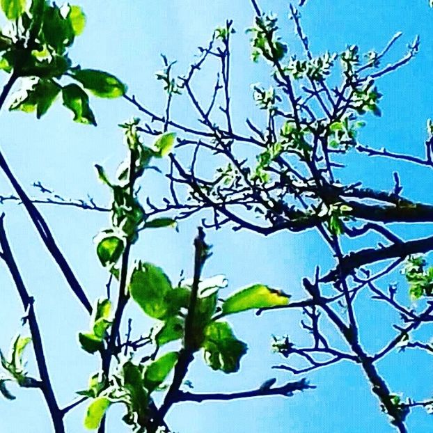  - - O - Fotografii x