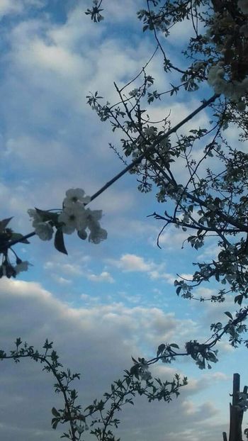  - - O - Fotografii x