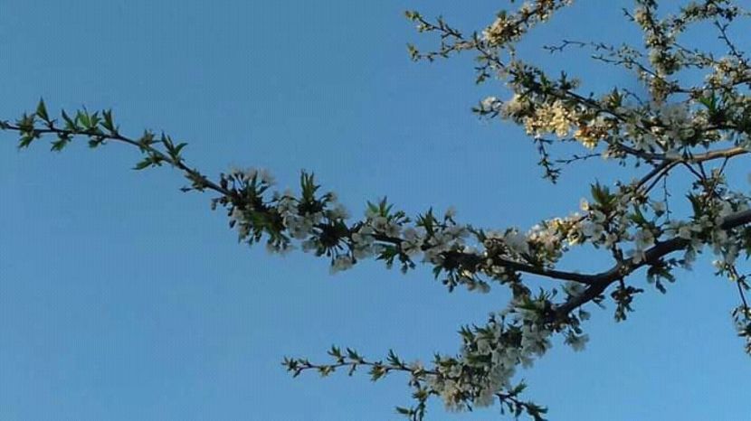  - - O - Fotografii x