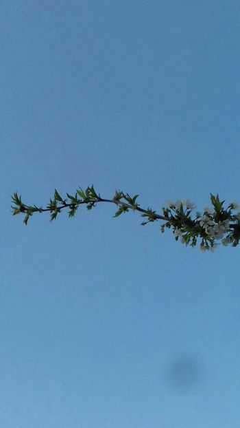  - - O - Fotografii x