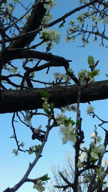  - - O - Fotografii x