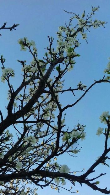  - - O - Fotografii x