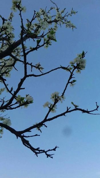  - - O - Fotografii x