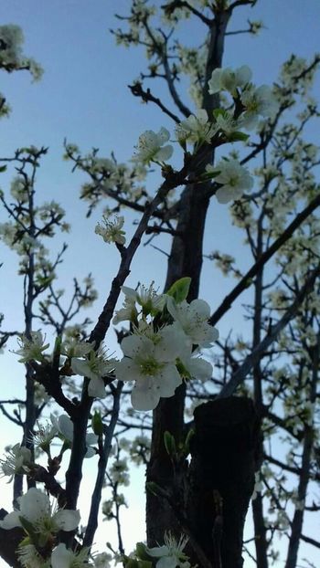  - - O - Fotografii x