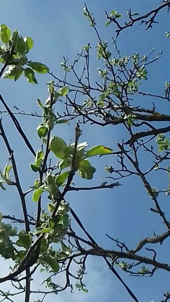  - - O - Fotografii x