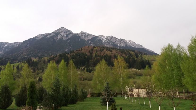 2.In primavara 2018 - In Parcul National Piatra Craiului