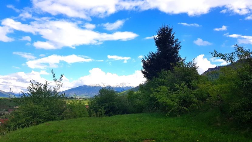 9. Muntii Bucegi - In Parcul National Piatra Craiului