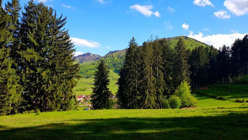  - In Parcul National Piatra Craiului