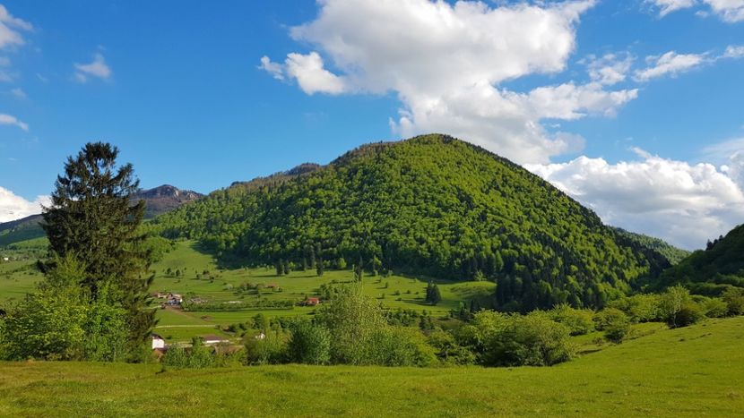  - In Parcul National Piatra Craiului