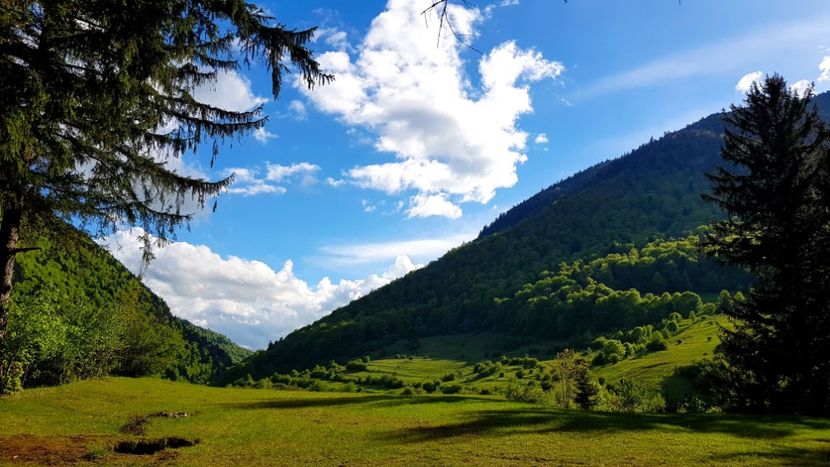  - In Parcul National Piatra Craiului