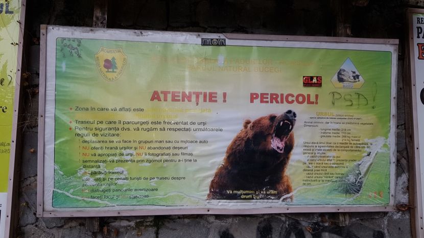  - BUSTENI