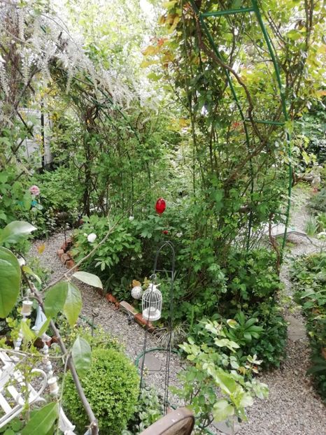  - Grădina 2020 continuare 1