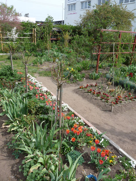 Seceta continua. - 2020 - 01 - Primavara