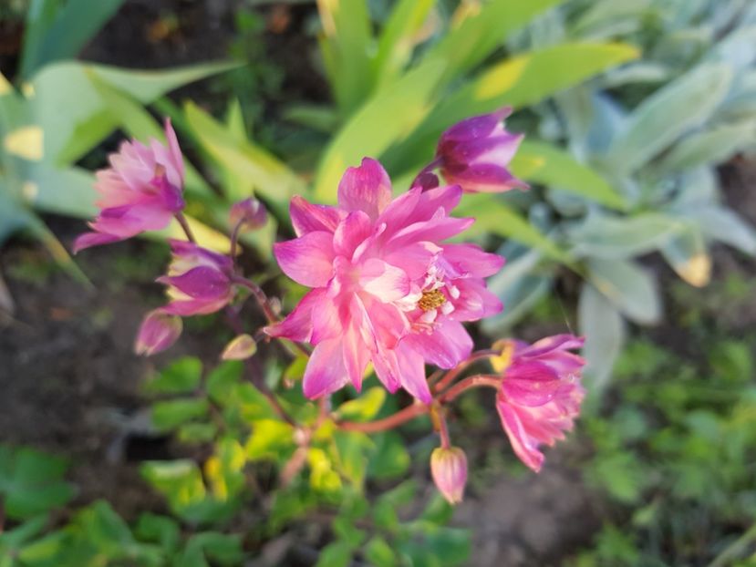  - Caldaruse 2020-2023